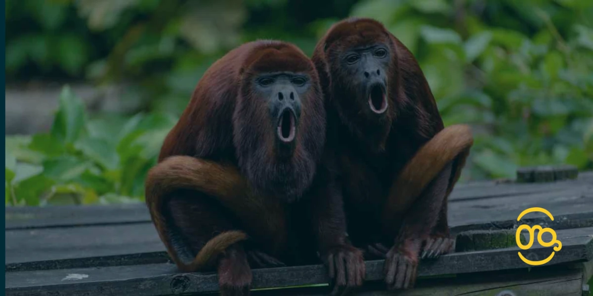 La naturaleza no es muda 4 La naturaleza no es muda