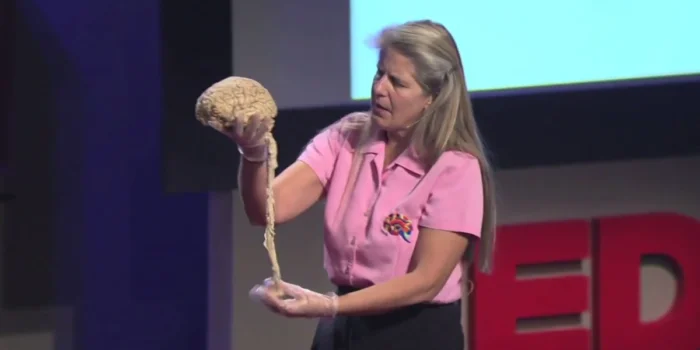 cerebro jill bolte taylor