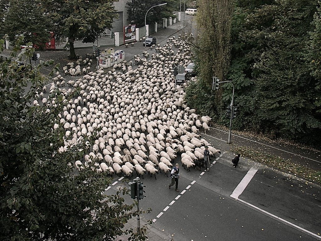 Que hablen así sea mal, que marchen así sea en contra 6 Que hablen así sea mal, que marchen así sea en contra