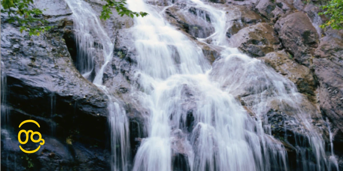 Obsequio: dos libros sobre la crianza del Agua 9 Obsequio: dos libros sobre la crianza del Agua